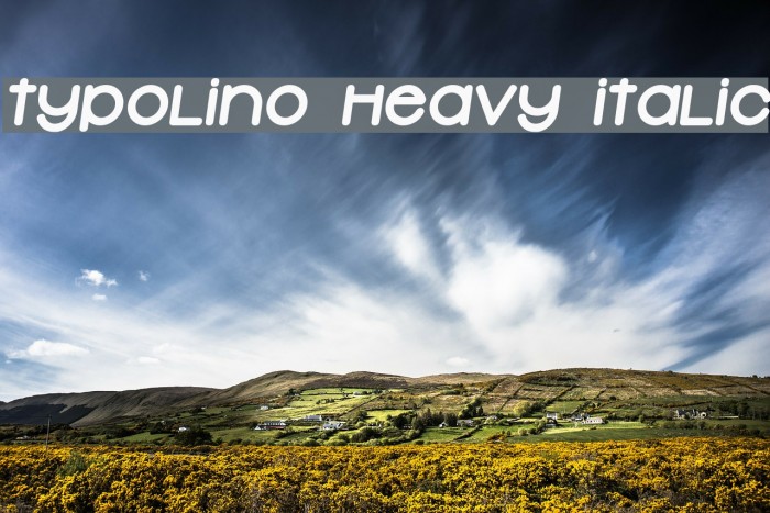 Typolino Heavy Italic Font examples