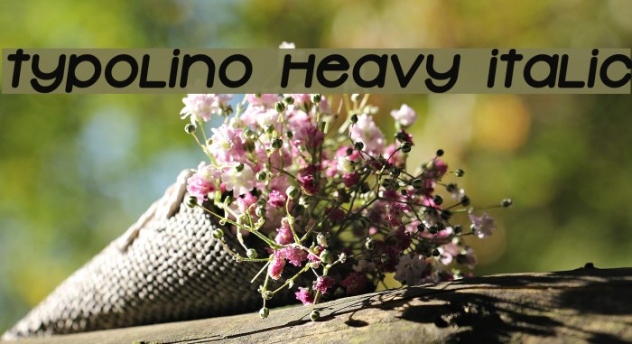 Typolino Heavy Italic Font examples