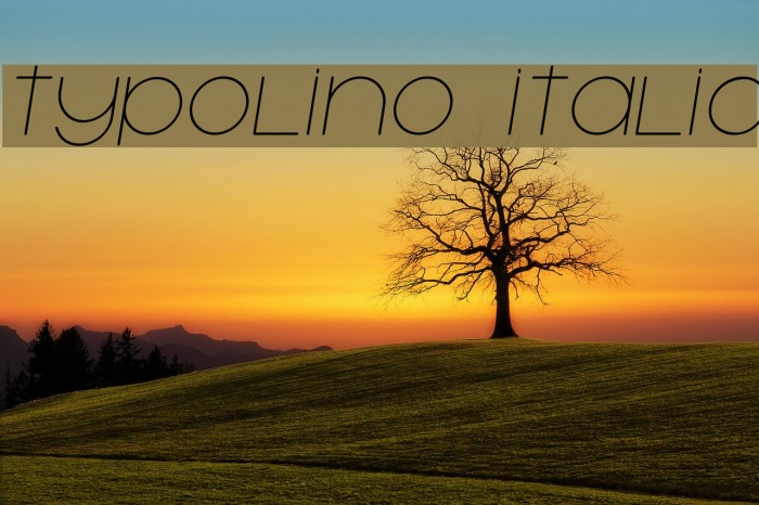 Typolino Italic Font examples