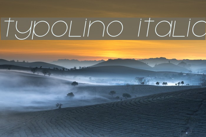Typolino Italic Font examples
