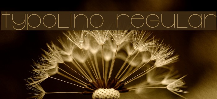 Typolino Regular Font examples
