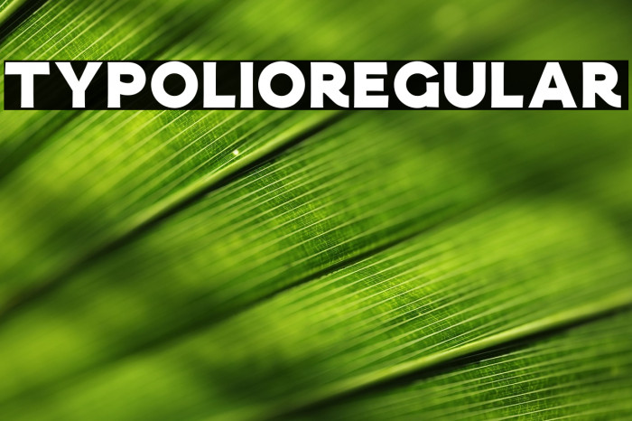 Typolio Regular Example 1