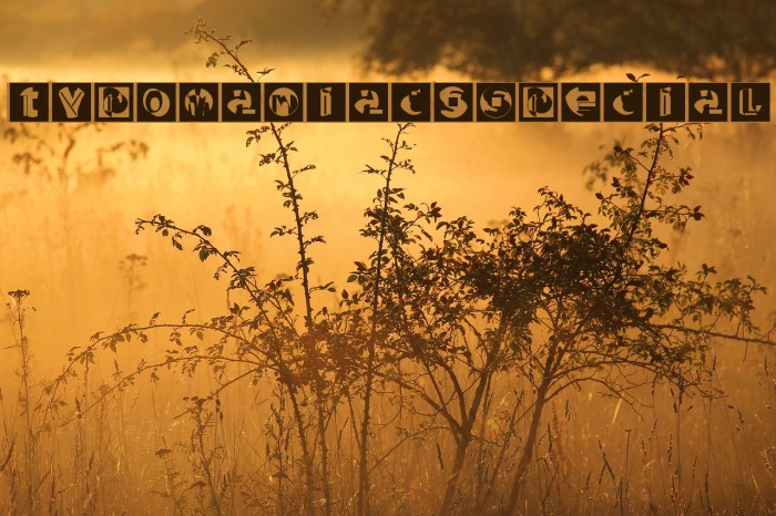 TypomaniacsSpecial Example 3