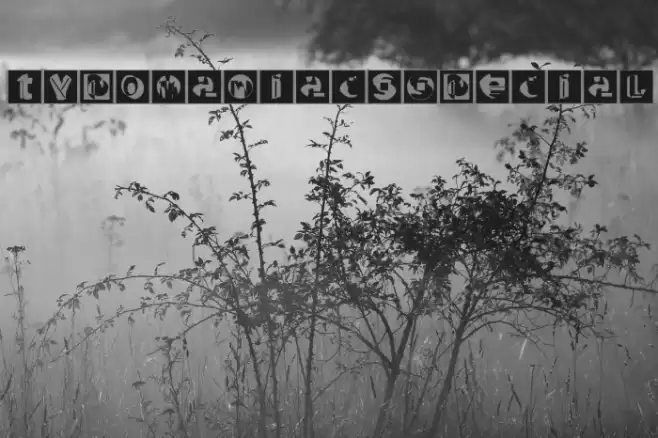 TypomaniacsSpecial Font examples
