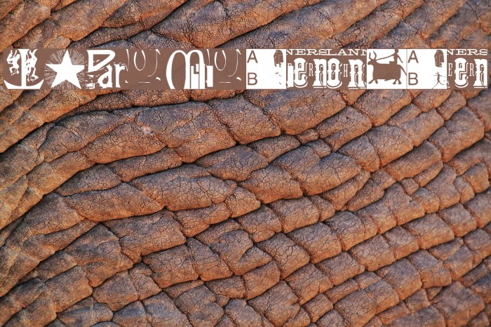 Typomolecule Font examples