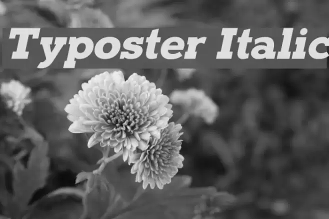 Typoster Italic Font examples