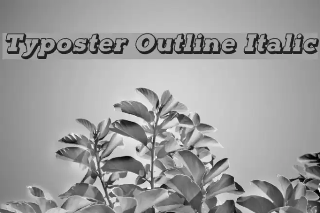 Typoster Outline Italic Font examples