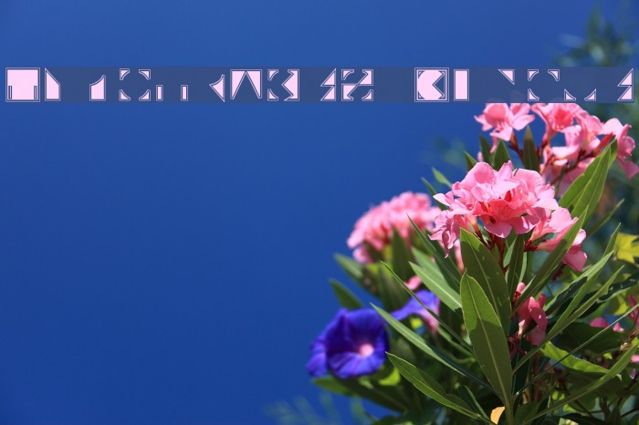 Typotraces-Cinque Font examples