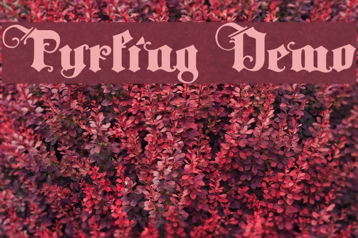 Tyrfing Demo Fuentes examples
