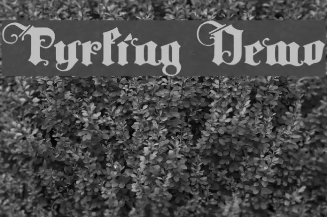Tyrfing Demo Font examples