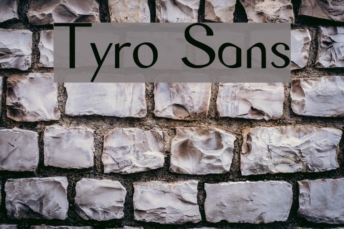 Tyro Sans Font examples