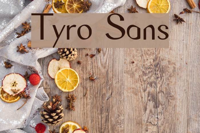 Tyro Sans Font examples