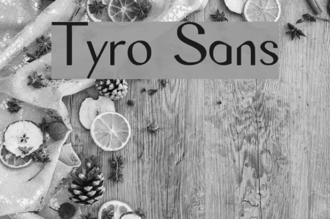 Tyro Sans 字体 examples