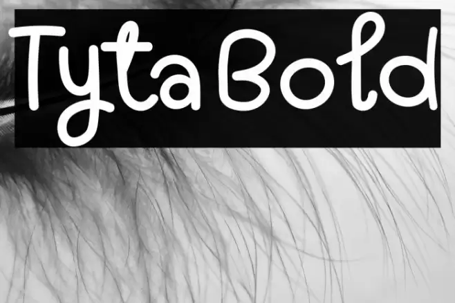 Tyta Bold Font examples