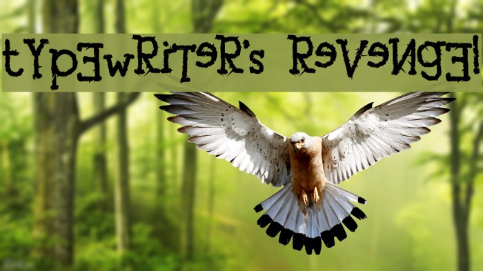 tYpEwRiTeR's ReVeNgE! Font examples