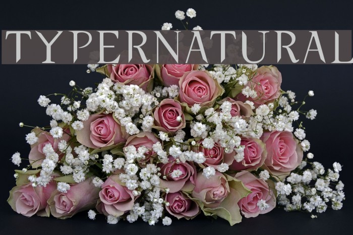 typernatural Font examples