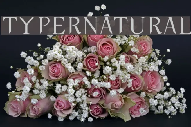 typernatural Example 3