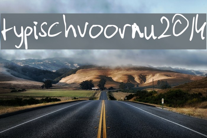 typischvoornu2014 Font examples