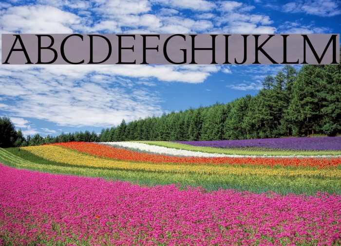 typo3 Normal Font examples