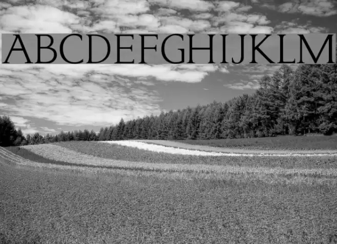 typo3 Normal フォント examples