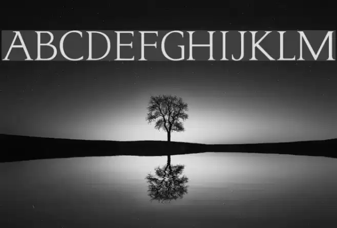 typo3 Normal フォント examples