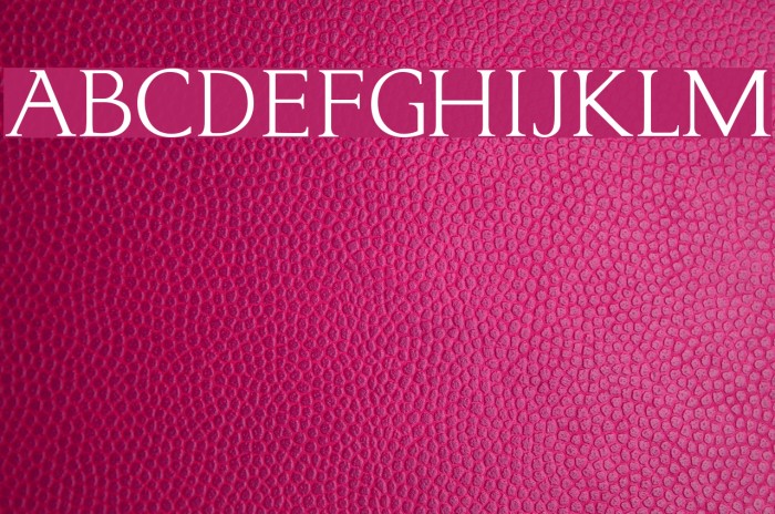 typo3 Normal Font examples