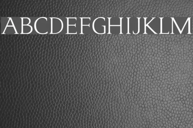 typo3 Normal フォント examples