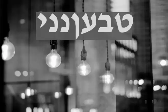 Tzipporah Font examples