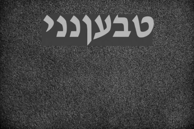 Tzipporah Font examples