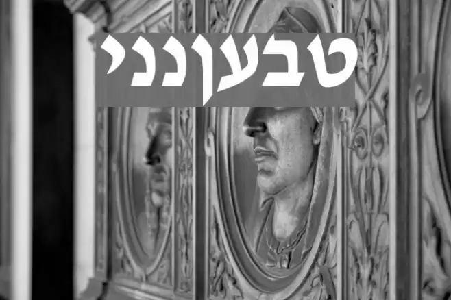 Tzipporah Font examples