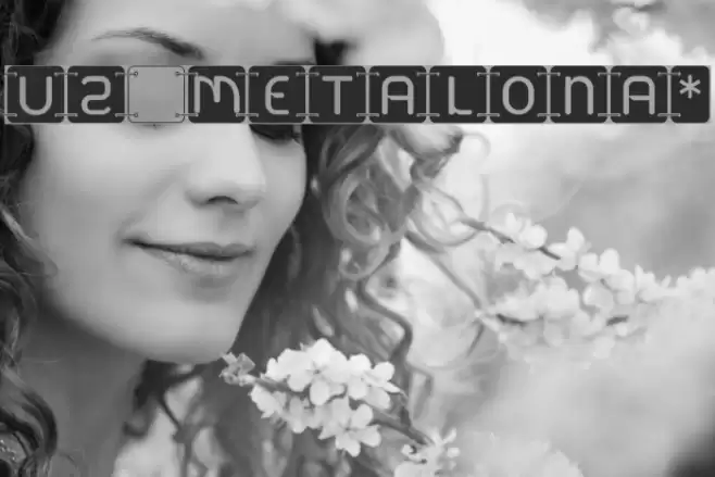 U2 Metalona* फ़ॉन्ट examples