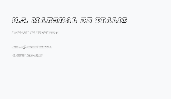 U.S. Marshal 3D Italic Business Card