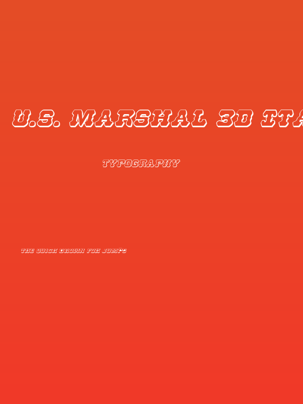 U.S. Marshal 3D Italic Poster