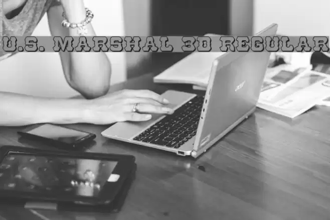 U.S. Marshal 3D Regular Font examples