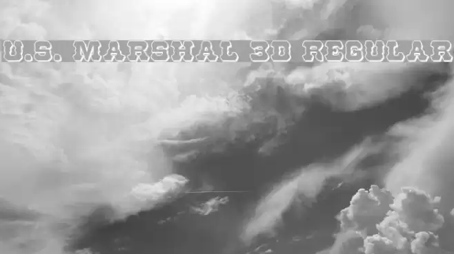 U.S. Marshal 3D Regular Font examples