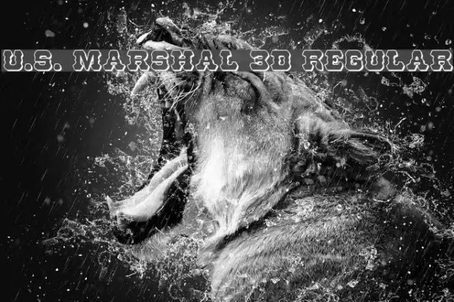 U.S. Marshal 3D Regular Font examples