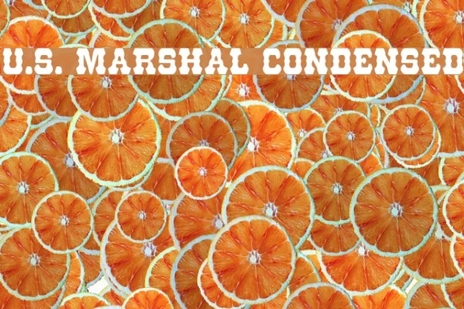 U.S. Marshal Condensed Example 3