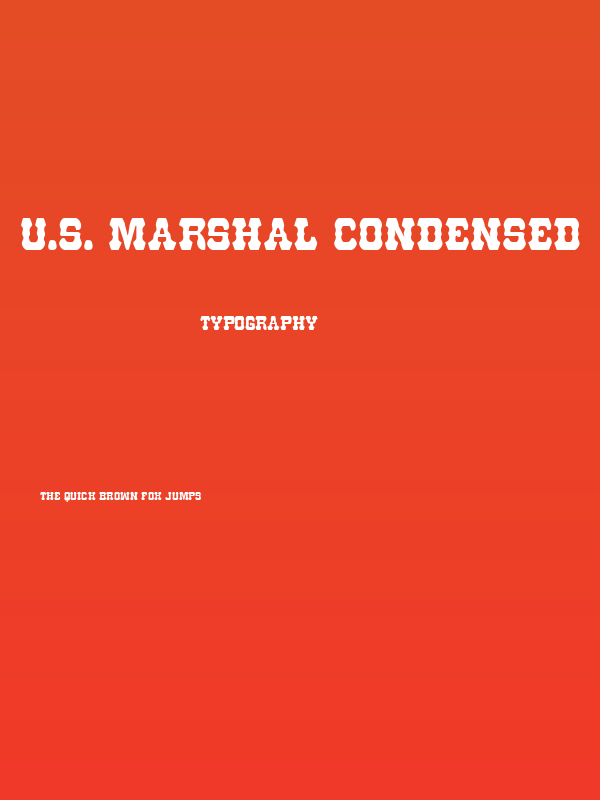 U.S. Marshal Condensed Poster