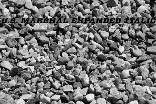 U.S. Marshal Expanded Italic Schriftart examples