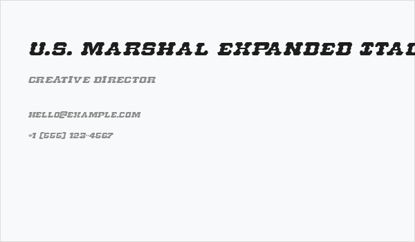U.S. Marshal Expanded Italic Business Card