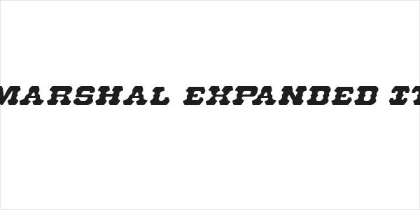 U.S. Marshal Expanded Italic Logo