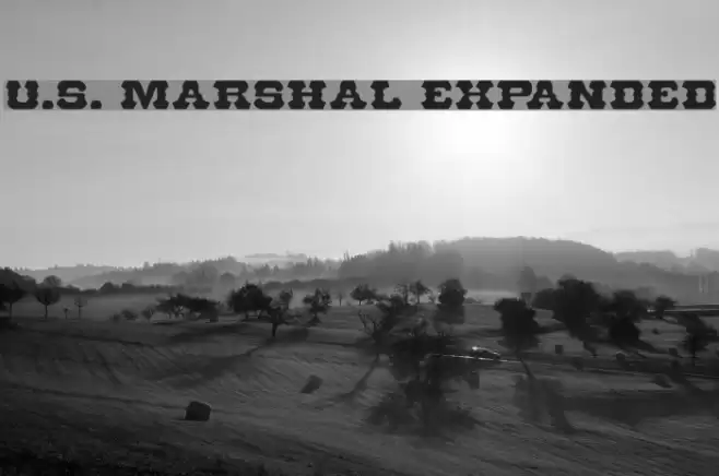 U.S. Marshal Expanded Polices examples