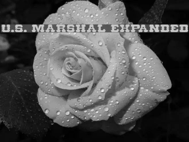 U.S. Marshal Expanded Polices examples
