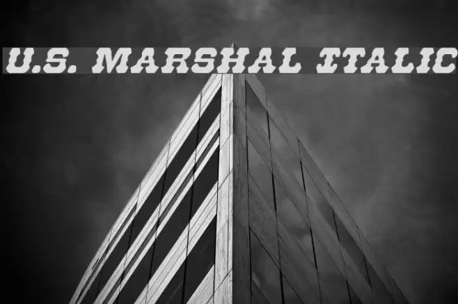 U.S. Marshal Italic Font examples
