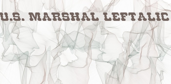 U.S. Marshal Leftalic Font examples