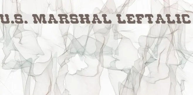 U.S. Marshal Leftalic Example 1