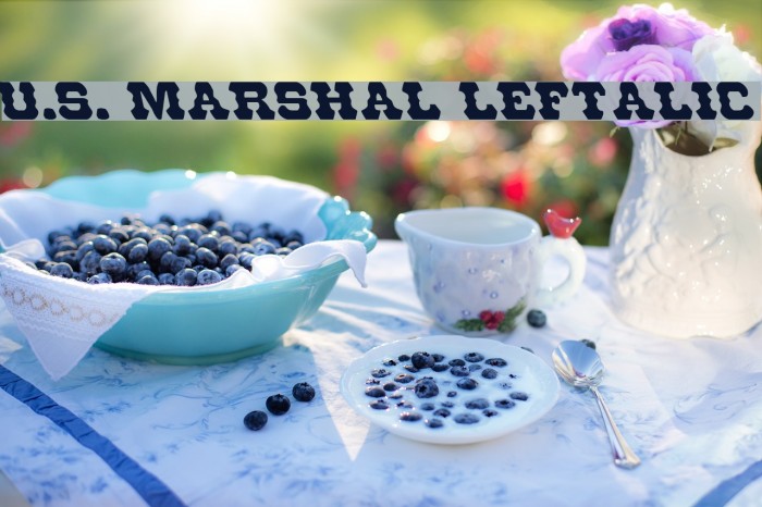 U.S. Marshal Leftalic Font examples