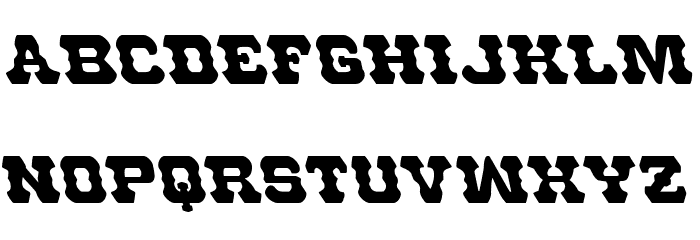 U.S. Marshal Leftalic Font LOWERCASE