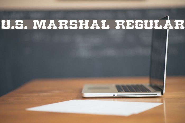 U.S. Marshal Regular Font examples