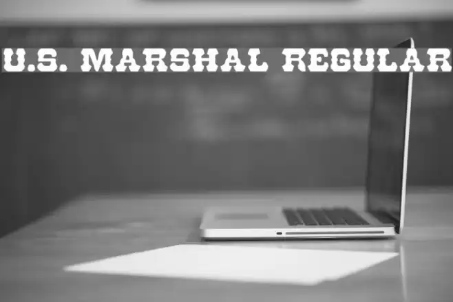 U.S. Marshal Regular Fonte examples